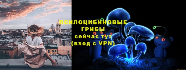 ГАЛЛЮЦИНОГЕННЫЕ ГРИБЫ Осинники