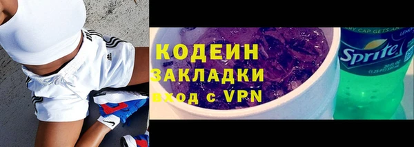 молекула духа Осташков