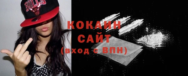 молекула духа Осташков