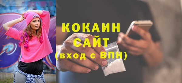 ГАЛЛЮЦИНОГЕННЫЕ ГРИБЫ Осинники