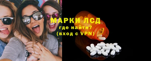молекула духа Осташков