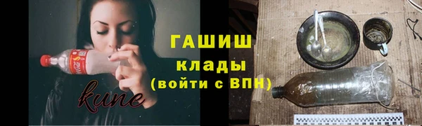 молекула духа Осташков