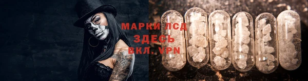 ГАЛЛЮЦИНОГЕННЫЕ ГРИБЫ Осинники
