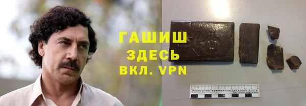 молекула духа Осташков