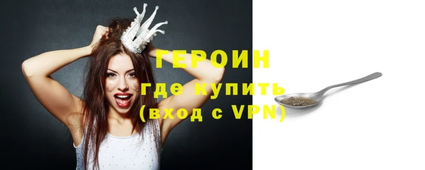 молекула духа Осташков
