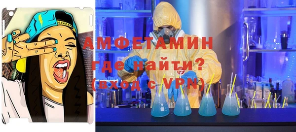 молекула духа Осташков