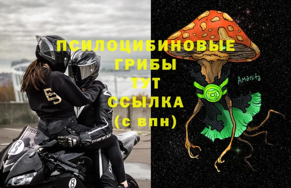 ГАЛЛЮЦИНОГЕННЫЕ ГРИБЫ Осинники