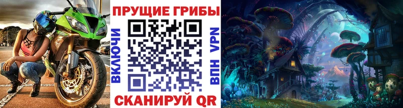 цены наркотик  Суджа  Псилоцибиновые грибы MAGIC MUSHROOMS 